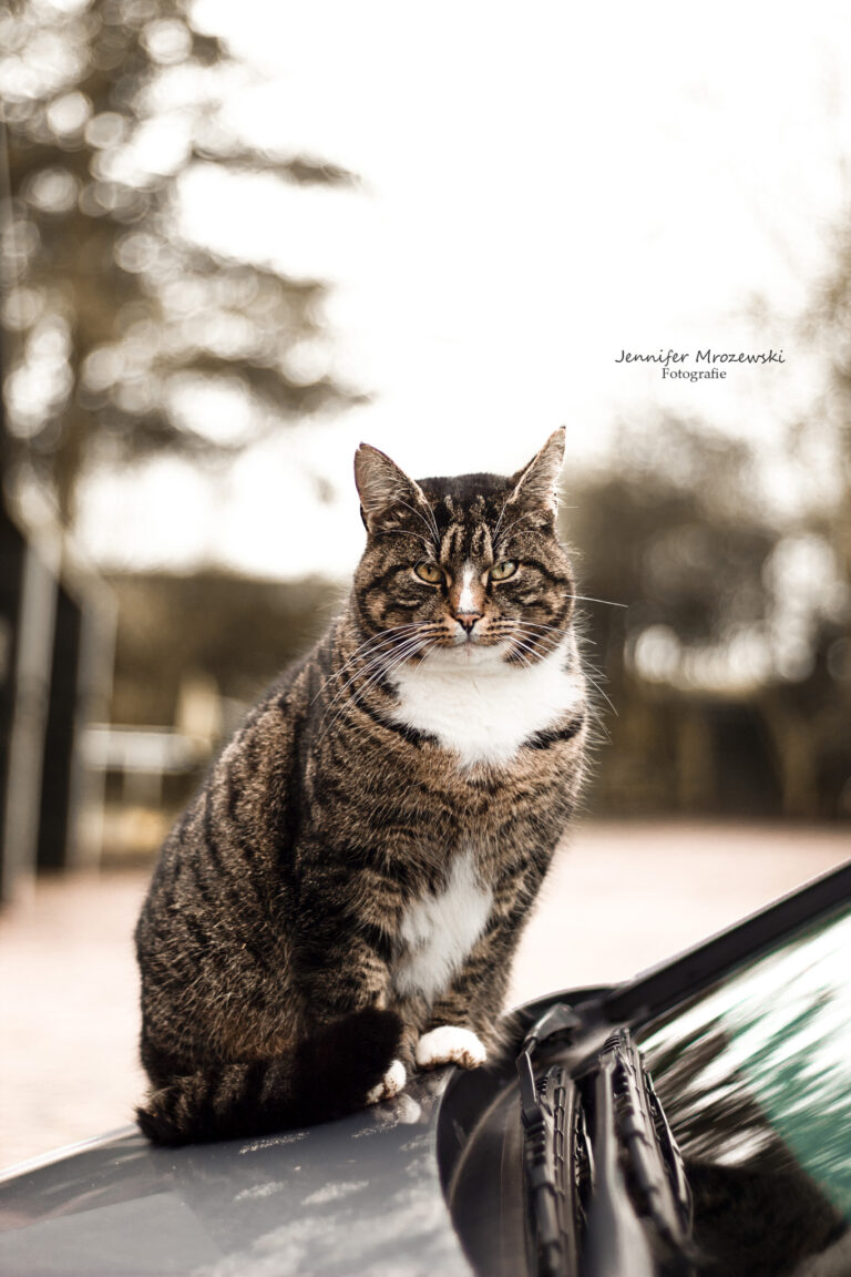 12.01.2022-Rönne-Stall-(11)-Web