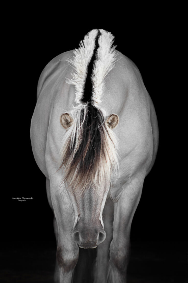 2022-05-14-Camillo-Raps-(28)-Wasserzeichen