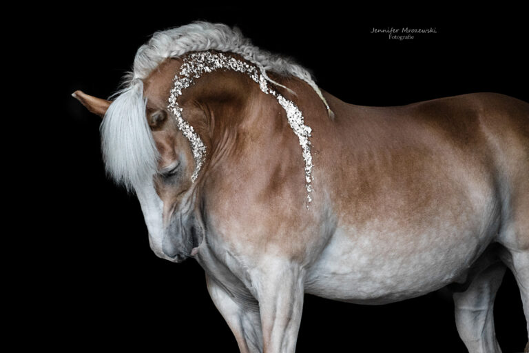 2022-08-05-Max-Blattgold-(27-2)-Web