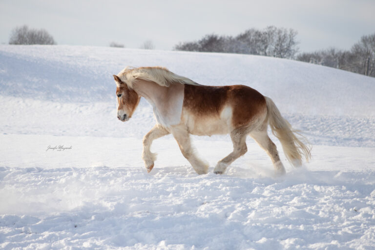 2022-12-18-Max-Schnee-(122)-Web