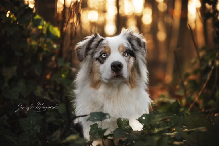 2023-01-15-Levi-(59)-Web