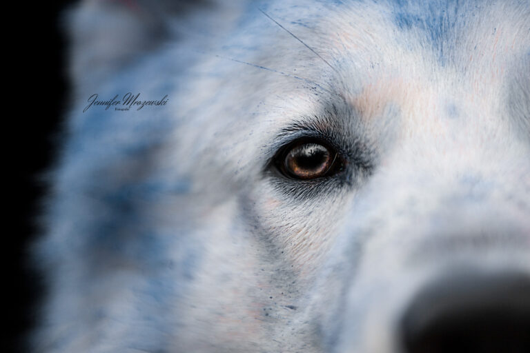 2023-02-12-Geist-Holi-(29)-Web