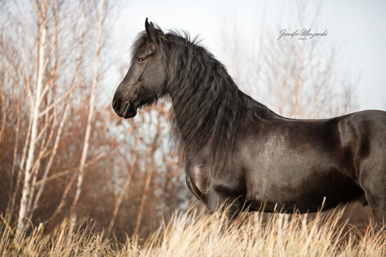 2023-03-17-Laboe-Nero-Starlight-(41)-Web