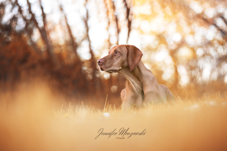 2023-04-27-Magnolie-Imke-(100)-Web