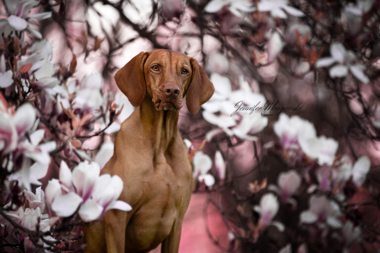 2023-04-27-Magnolie-Imke-(170)-Web