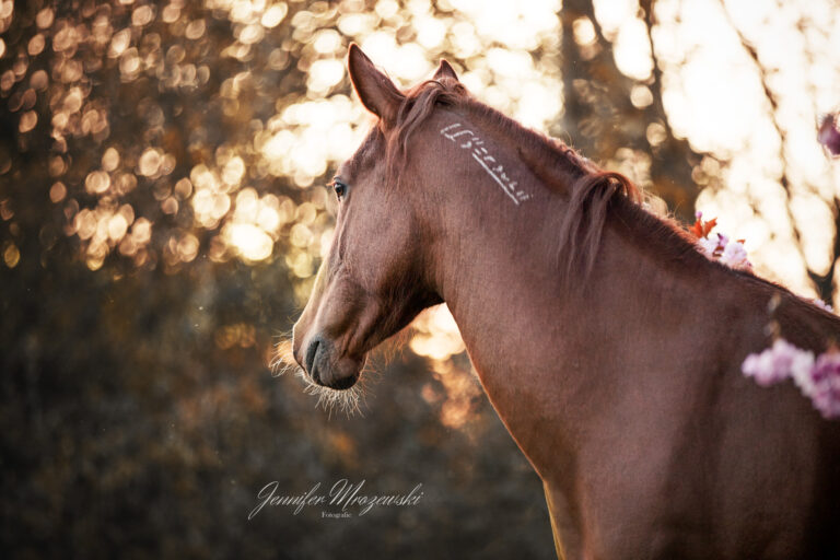 2023-04-30-Maya-Japp-Kirsche-(129)-Web