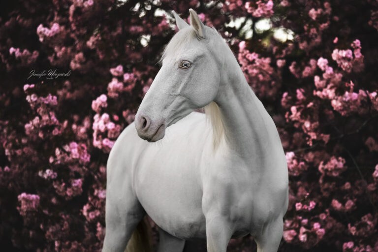 2023-04-30-Maya-Japp-Kirsche-(137-3)-Web