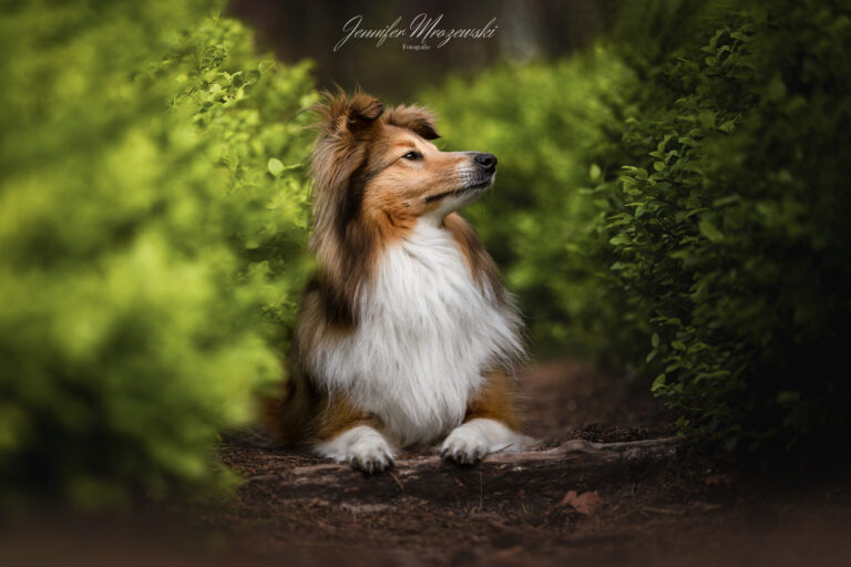 2023-06-01-Isi-und-Sunday-(5)-r6-Web