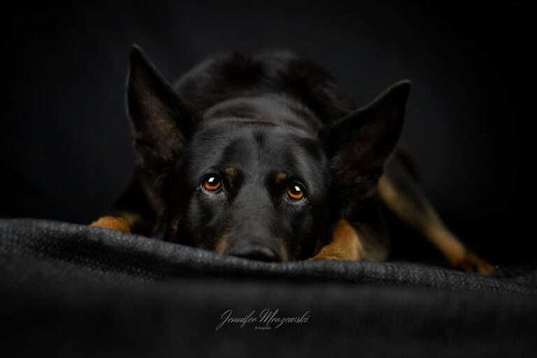 2023-06-17-Studio-Maya-(39)-Web