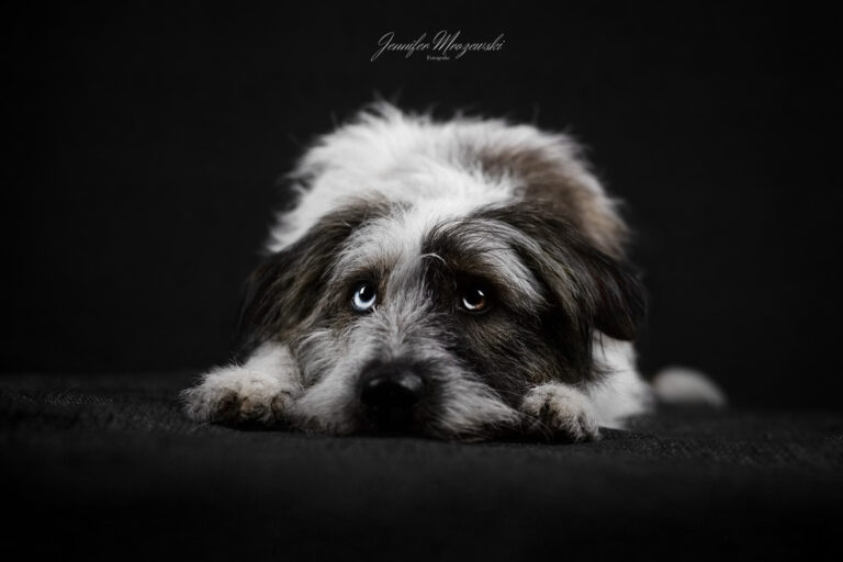 2023-06-17-Studio-Yuna-(18)-Web