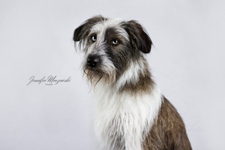 2023-06-17-Studio-Yuna-(21)-Web