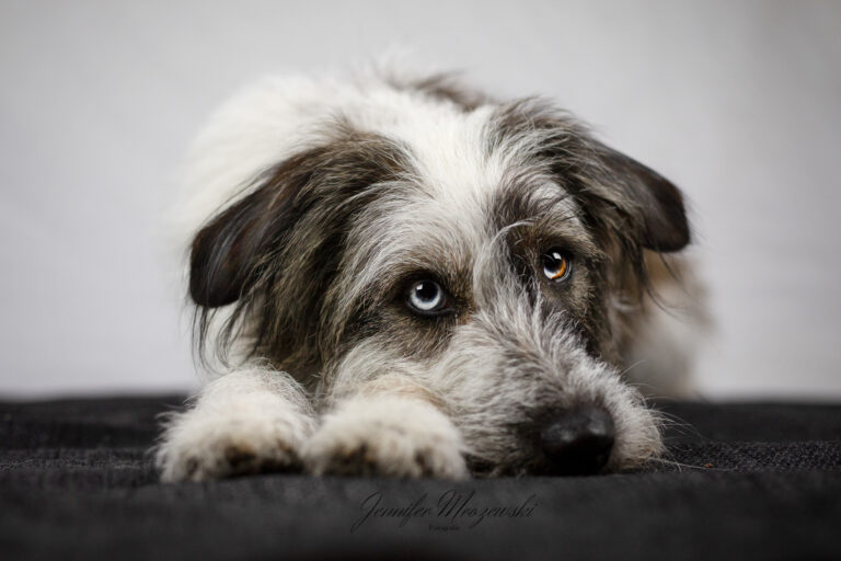 2023-06-17-Studio-Yuna-(30)-Web