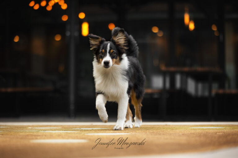 2023-08-06-Nuri-Kieler-Innenstadt-(18)-Web