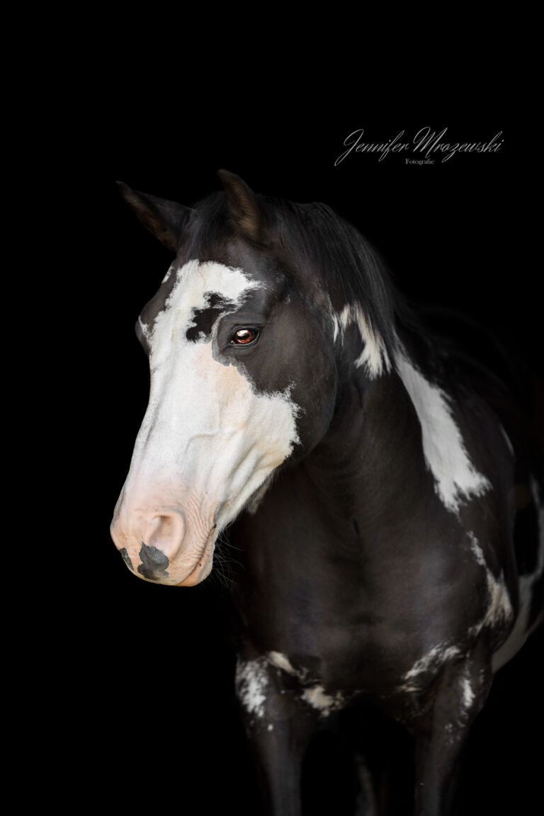 2023-08-11-Yuron-(22)-Web