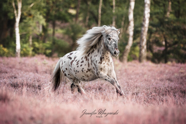 2023-09-02-Fischbeker-Heide-Flip-(28)-Web