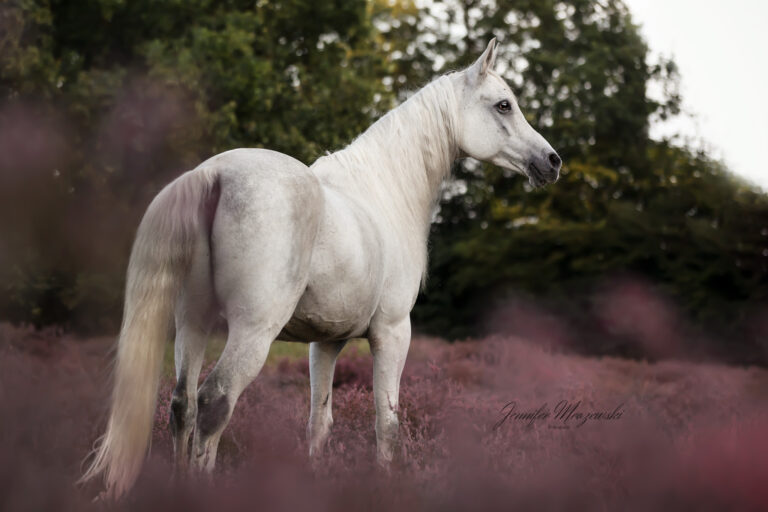 2023-09-03-Heide-Kareem-(29)-Web