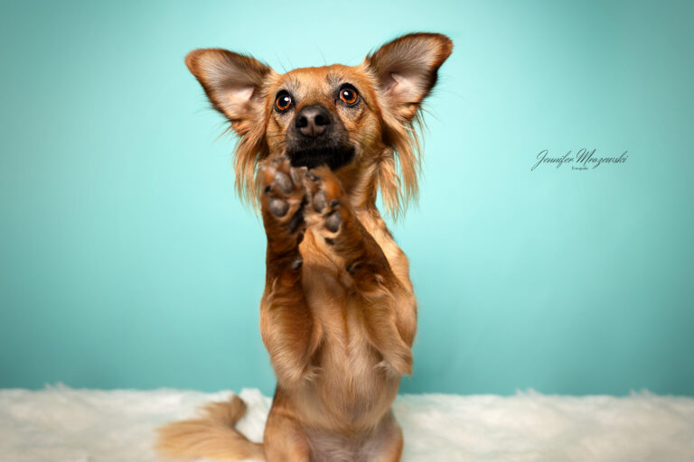 2023-10-15-Kim-Reschke-Studio-(34)-Web