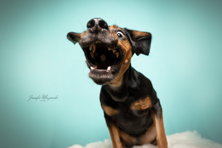 2023-10-15-Kim-Reschke-Studio-(39)-Web