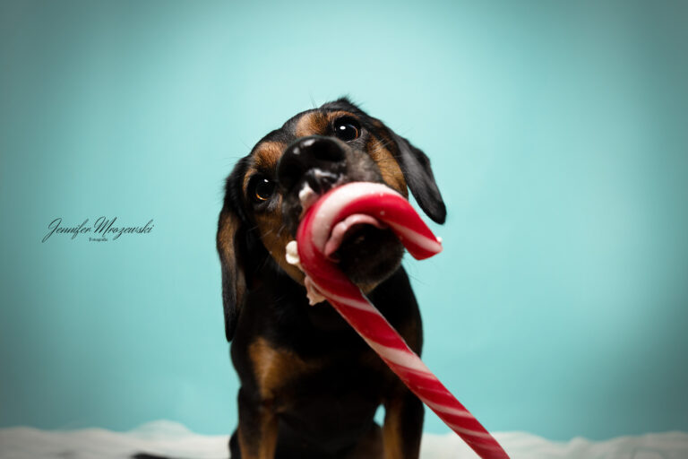 2023-10-15-Kim-Reschke-Studio-(61)-Web