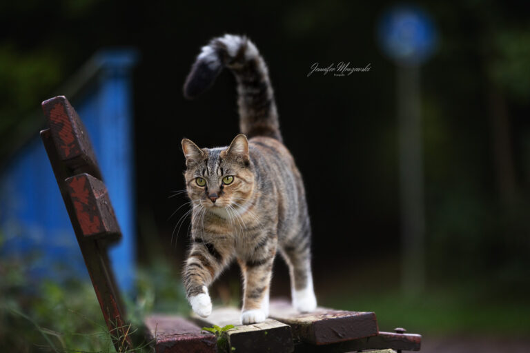 2023-10-16-Luna-(73)-Web