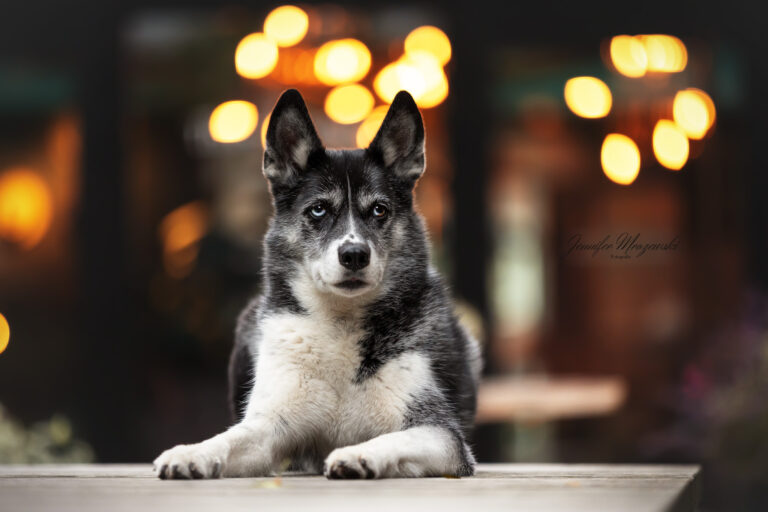 2023-10-22-Fotowalk-Hamburg-(115)-Web