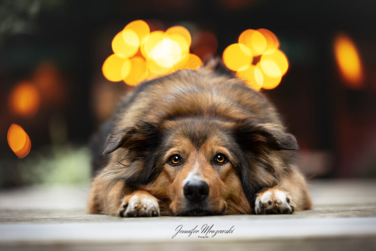 2023-10-22-Fotowalk-Hamburg-(129)-Web