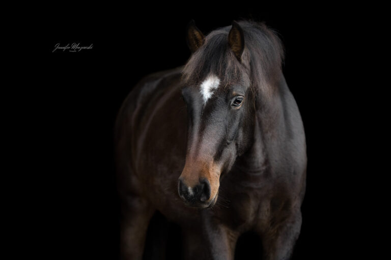 2023-11-12-Felm-Const-Orlaine-(110)-Web