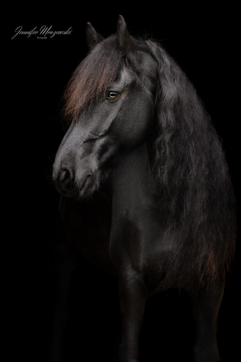 2023-11-15-Nero-Kranz-(51)-Web