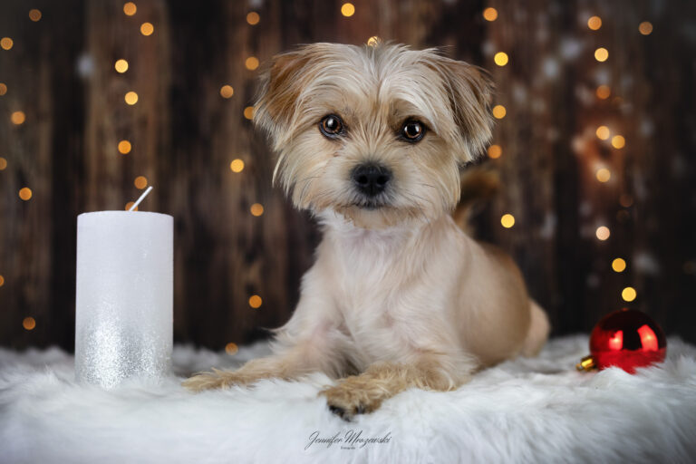 2023-11-24-Weihnachtsstudio-Lotti-(48)-Web