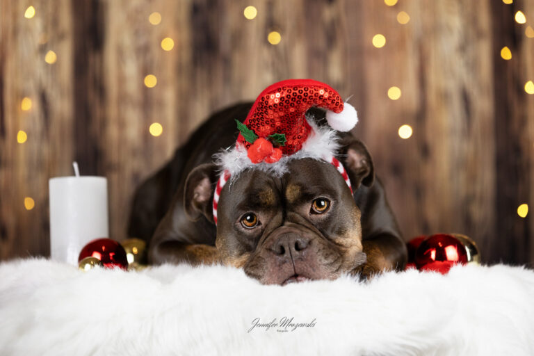 2023-11-25-Weihnachtsstudio-Franzi-(42)-Web