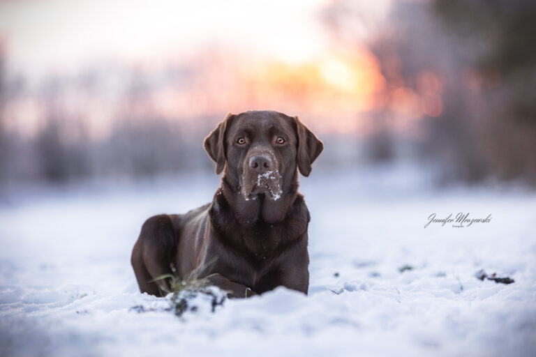 2023-12-01-Schnee-Ida-(305)-Web