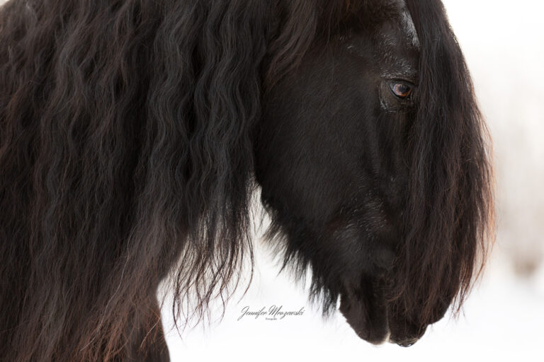 2023-12-01-Schnee-Ida-(65)-Web