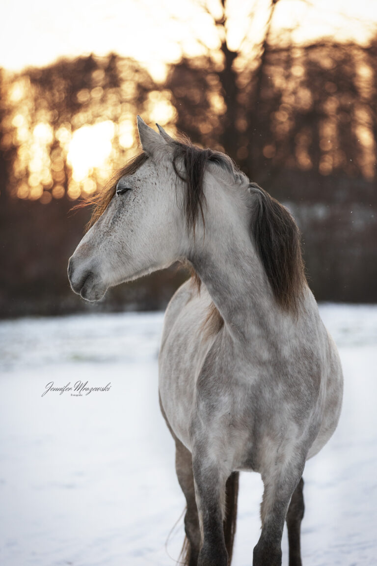 2024-01-19-Fiella-Schnee-(60)-Web