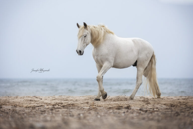 2024-02-10-Strand-Espi-(46)-Web