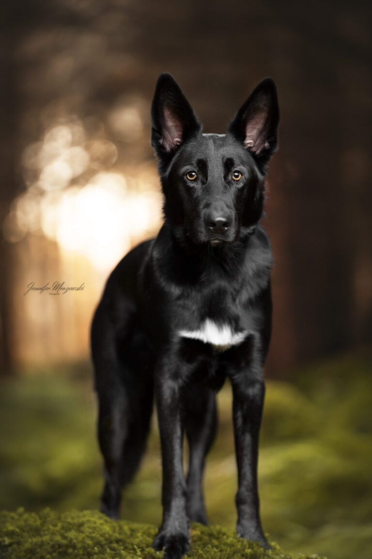 2024-02-25-Wald-Haku-(21)-Web