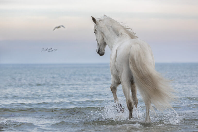 2024-03-02-Infante-(115)-Web