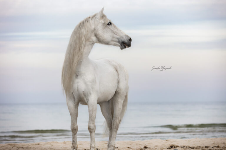 2024-03-02-Infante-(54)-Web