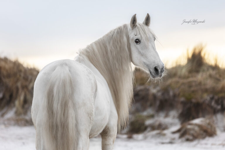 2024-03-02-Infante-(83)-Web