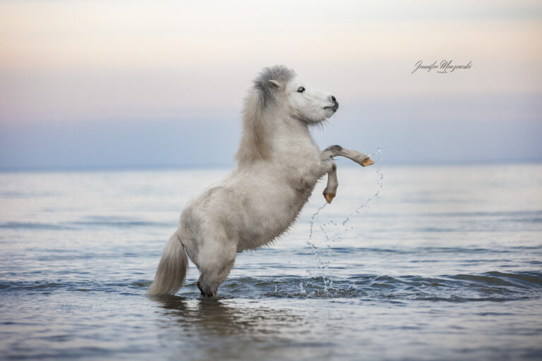 2024-03-02-Pauli-(73)-Web