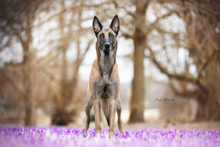 2024-03-05-Mine-Sarah-(3)-Web