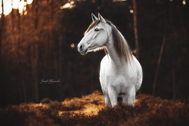 2024-03-10-Fantatsia-Sandberge-(59-2)-Web