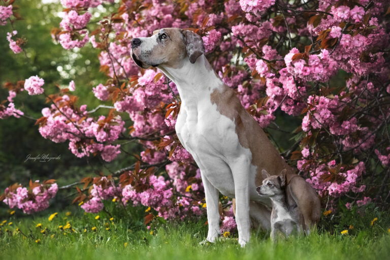 2024-04-17-Hupe-und-Adele-(122)-Web