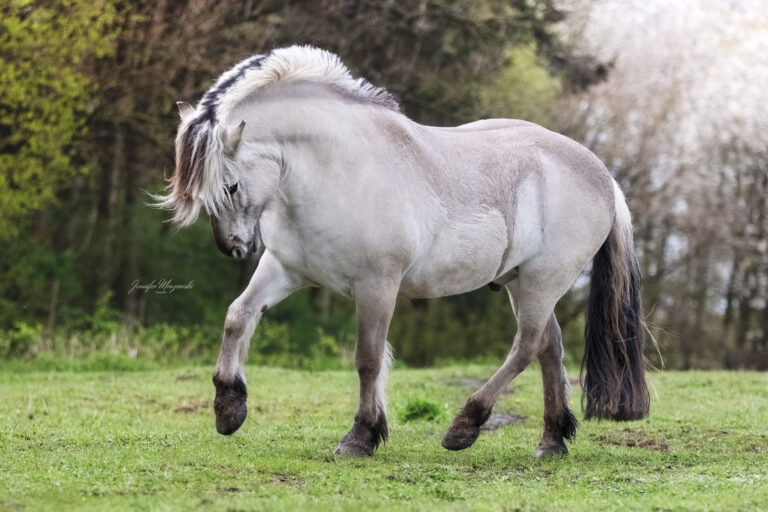 2024-04-19-Camillo-und-co-(140)-Web