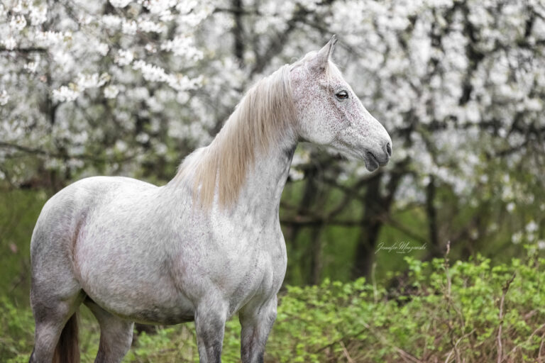 2024-04-19-Camillo-und-co-(8)-Web