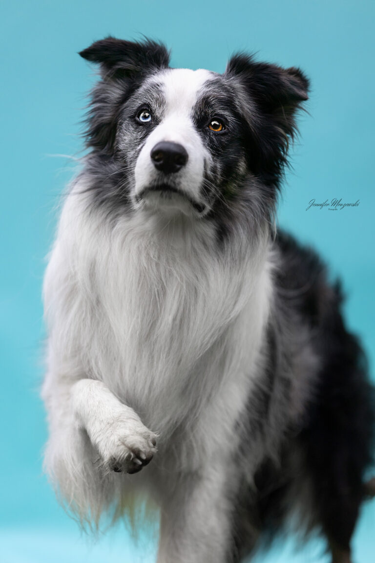 2024-05-04-Finu-Studio-(15)-Web