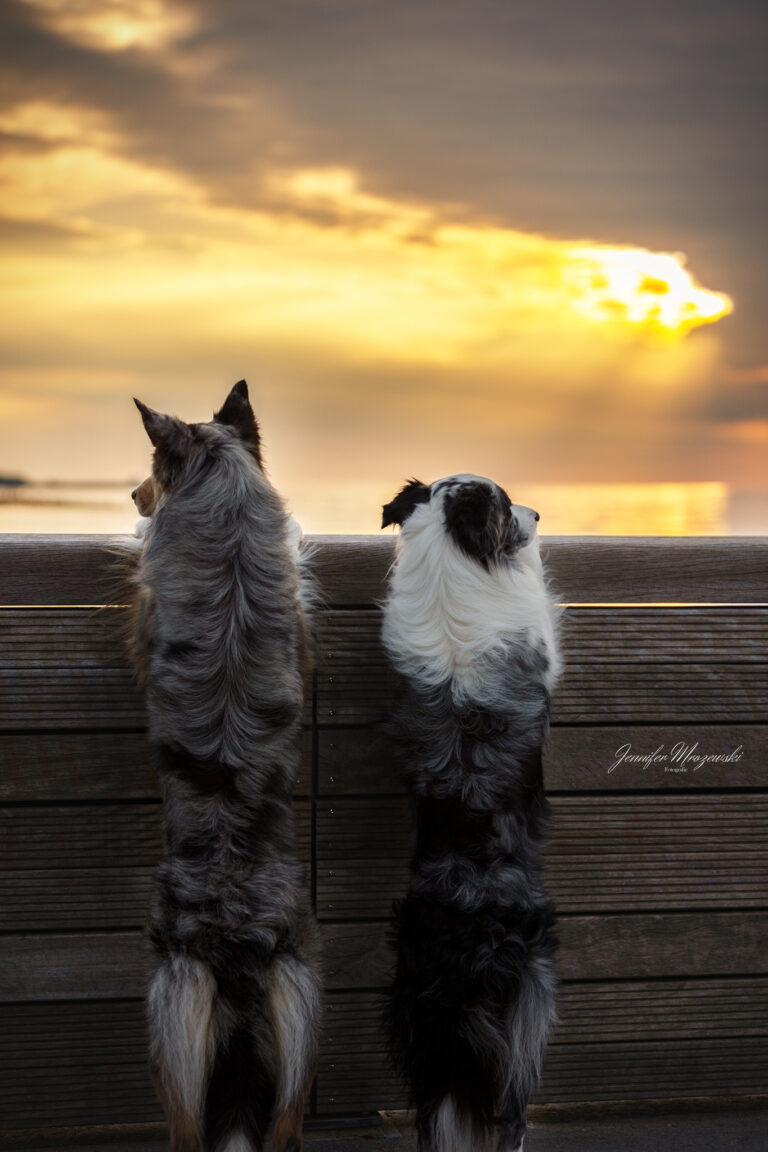 2024-05-06-Enju-Heiligenhafen-(24)-Web