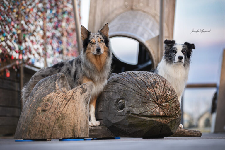 2024-05-06-Enju-Heiligenhafen-(33)-Web