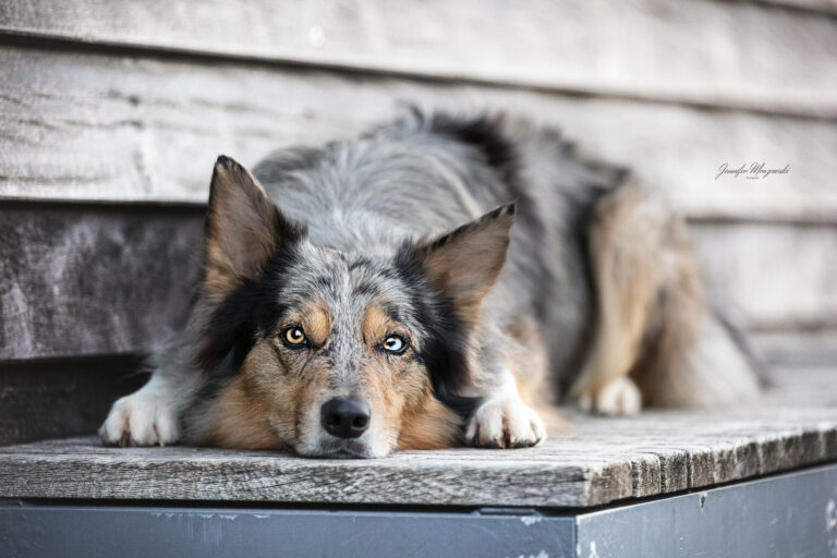 2024-05-06-Enju-Heiligenhafen-(40)-Web