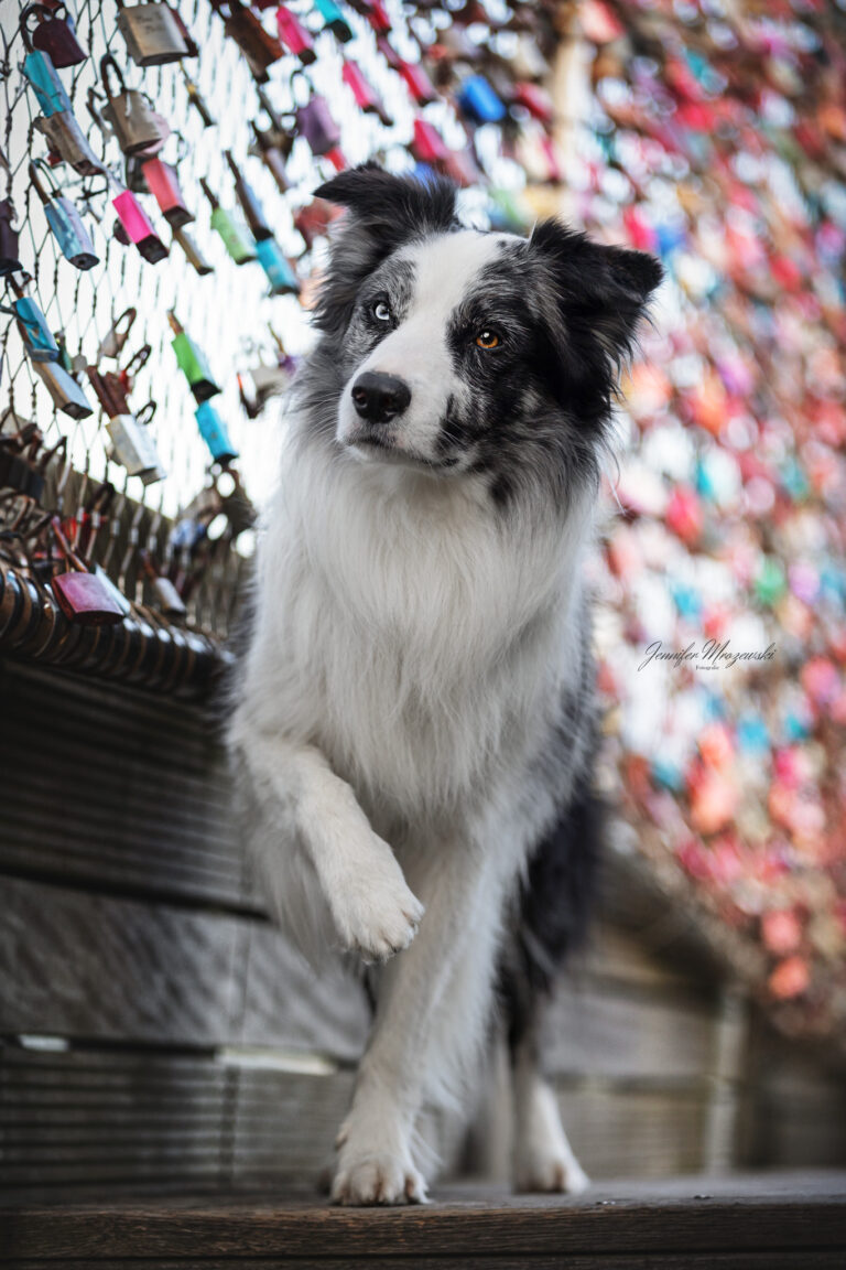 2024-05-06-Enju-Heiligenhafen-(9)-Web