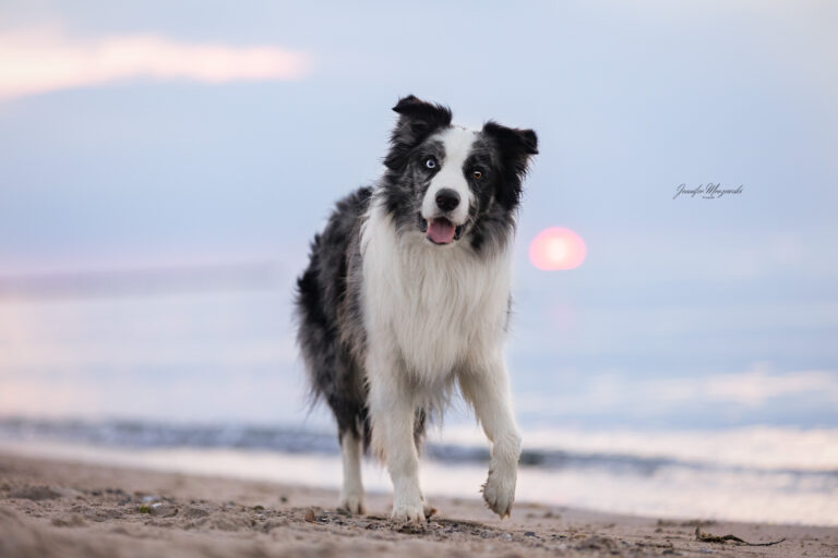 2024-05-06-Enju-Heiligenhafen-(90)-Web